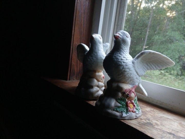 Dove Love Twins
