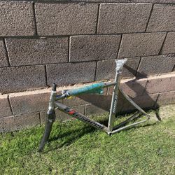 Litespeed Blade Frameset 55cm 700c