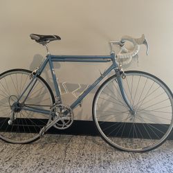 C-Record Campagnolo Complete Bike