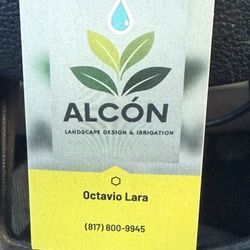 winter seed clean ups