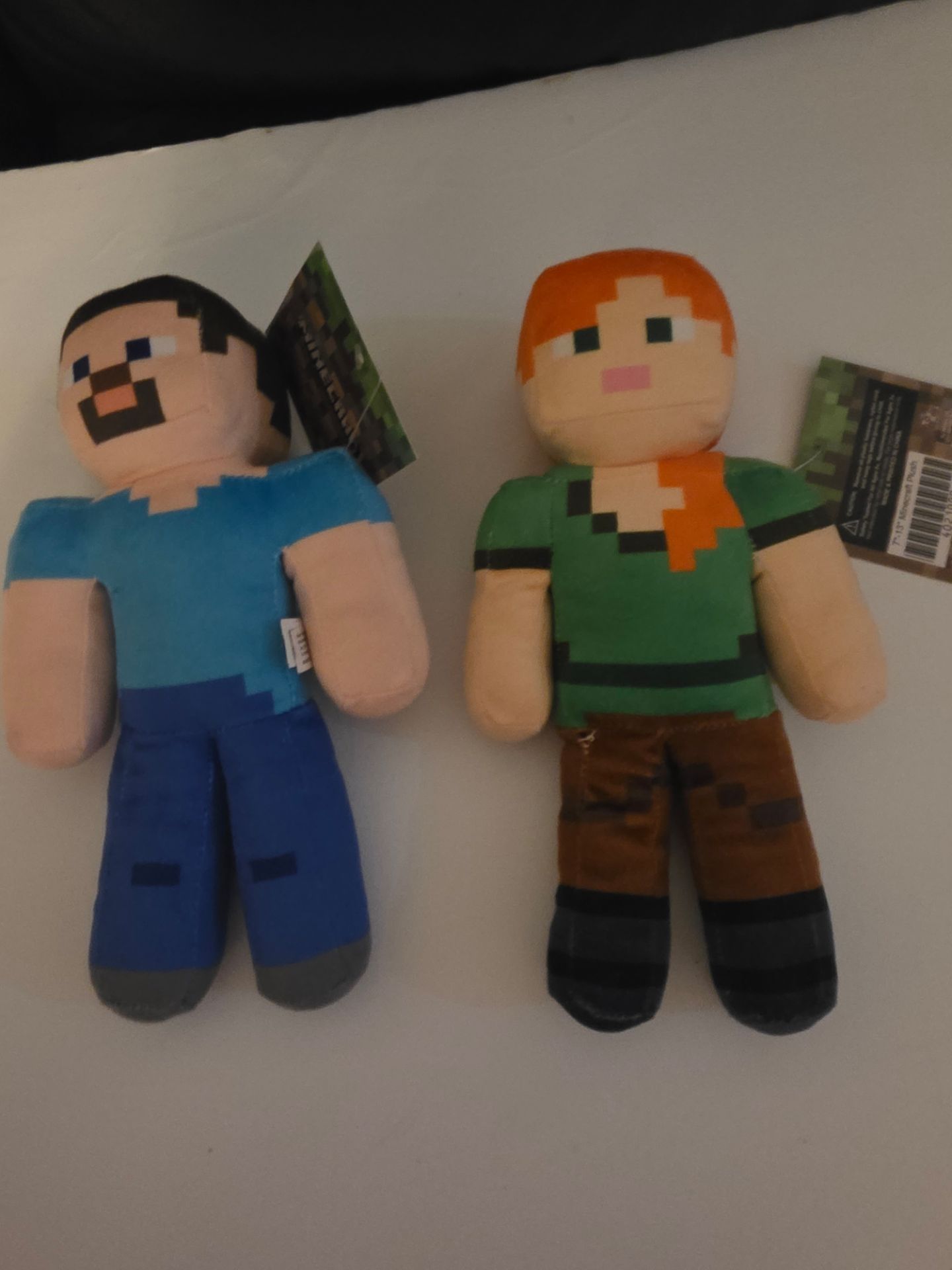 Minecraft Steve and Alex