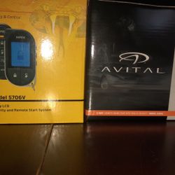 car alarms and car audio