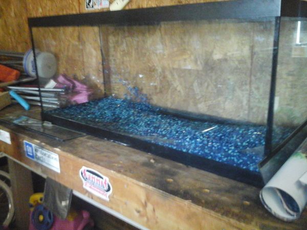 75 gallon fish tank for Sale in Columbus, OH OfferUp