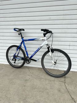 Giant Mountain Bike