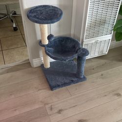 Cat Tower 