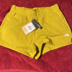 North Face New Shorts And Tshirt 