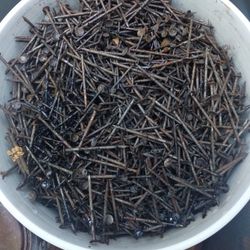 5 Gallon Can Full Of 2" Nails .