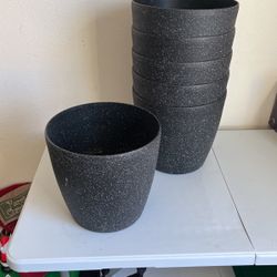 Plant Pots