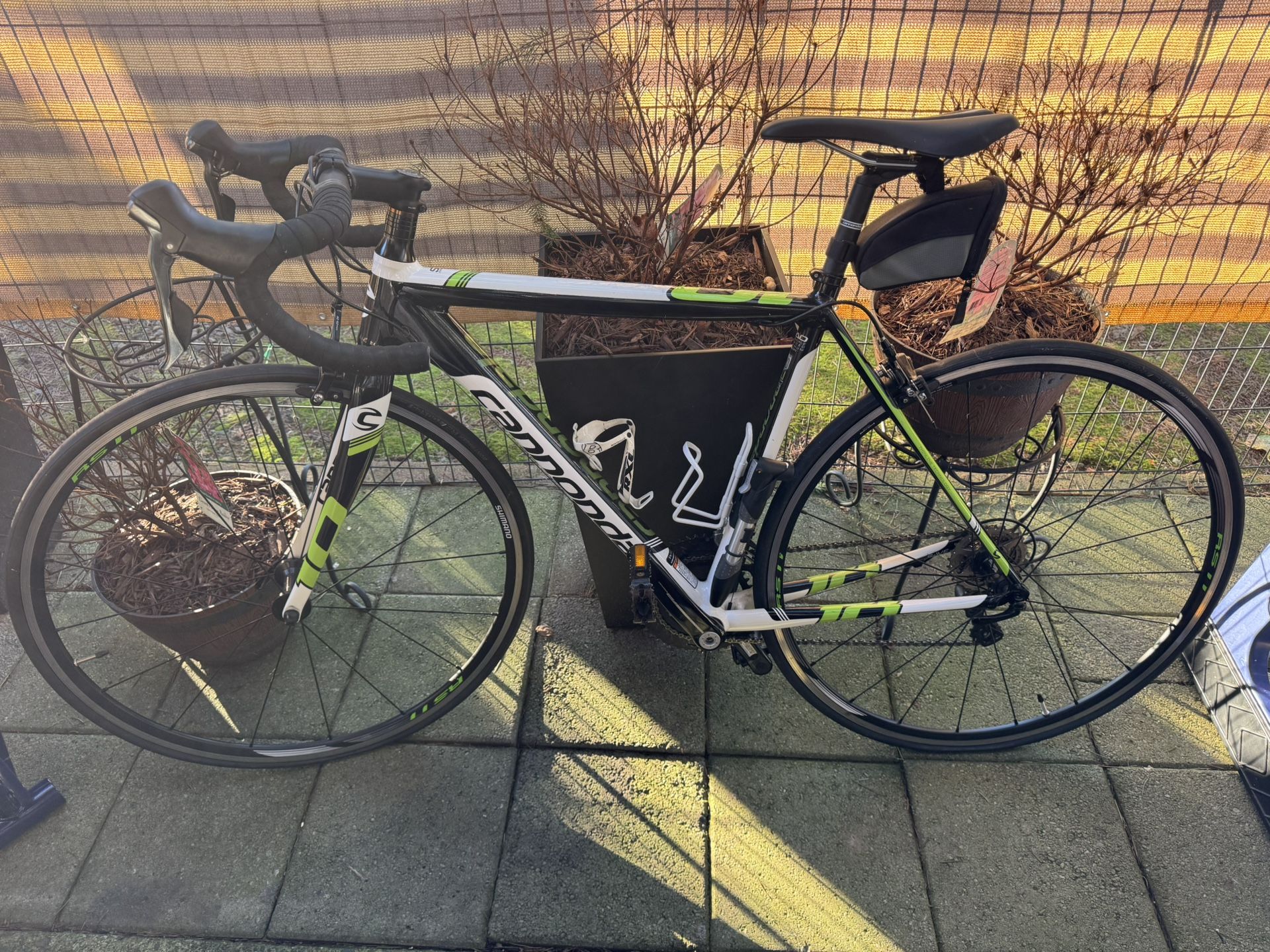 Cannondale Road Bike Frame Size 50