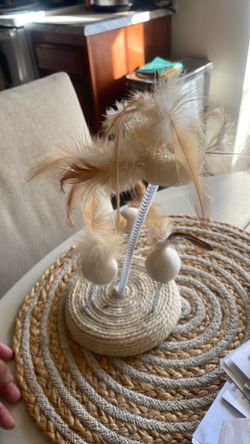 Cat toy