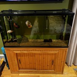 65 Gallon Fish Tank / Aquarium