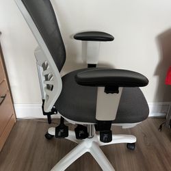 Ergonomic Office Chair (Brand new)