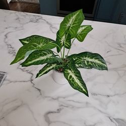 Fake Plant