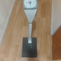 Scale