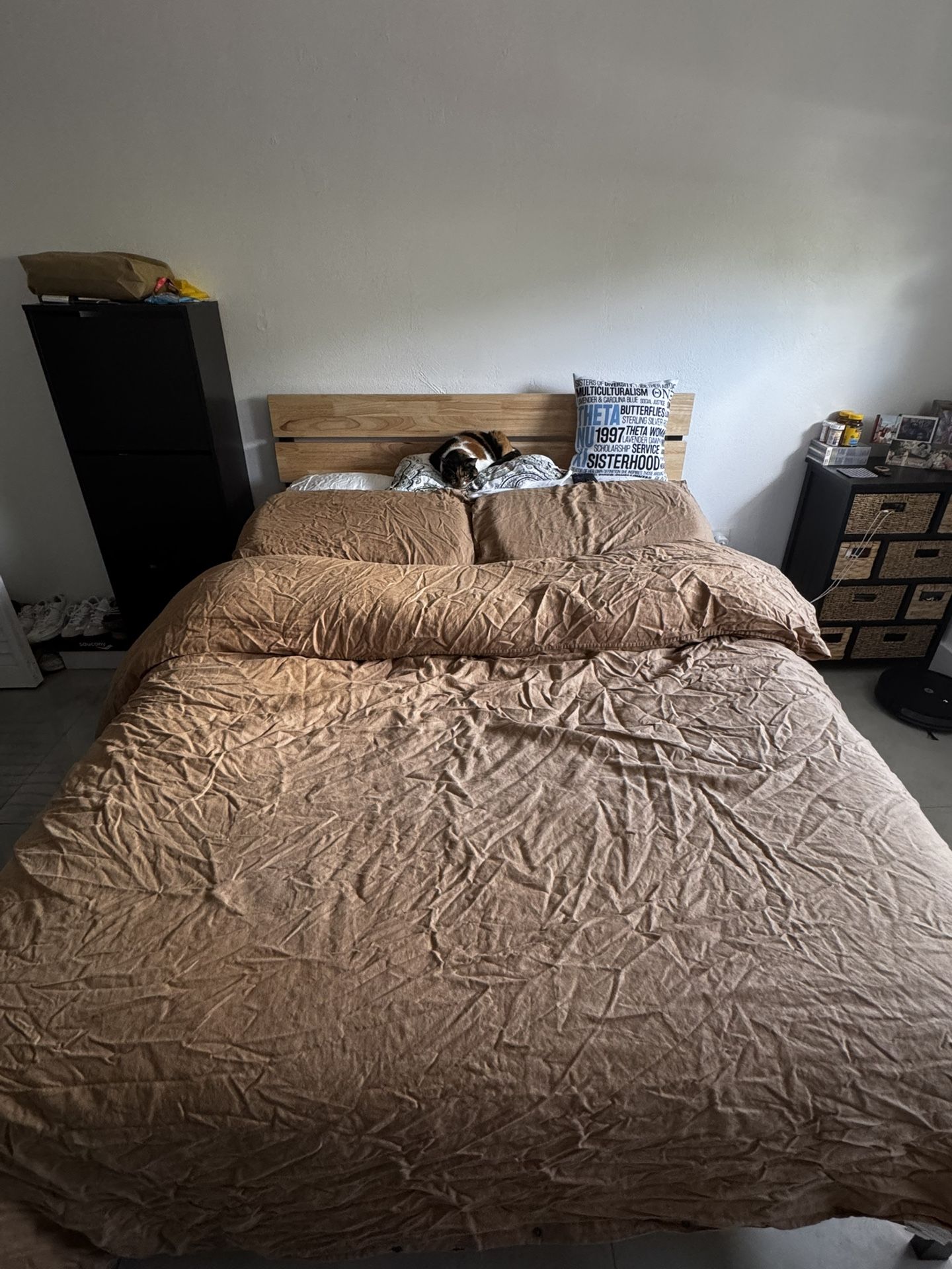 NEED GONE ASAP - Queen Size Bed Frame + Bed (Optional)