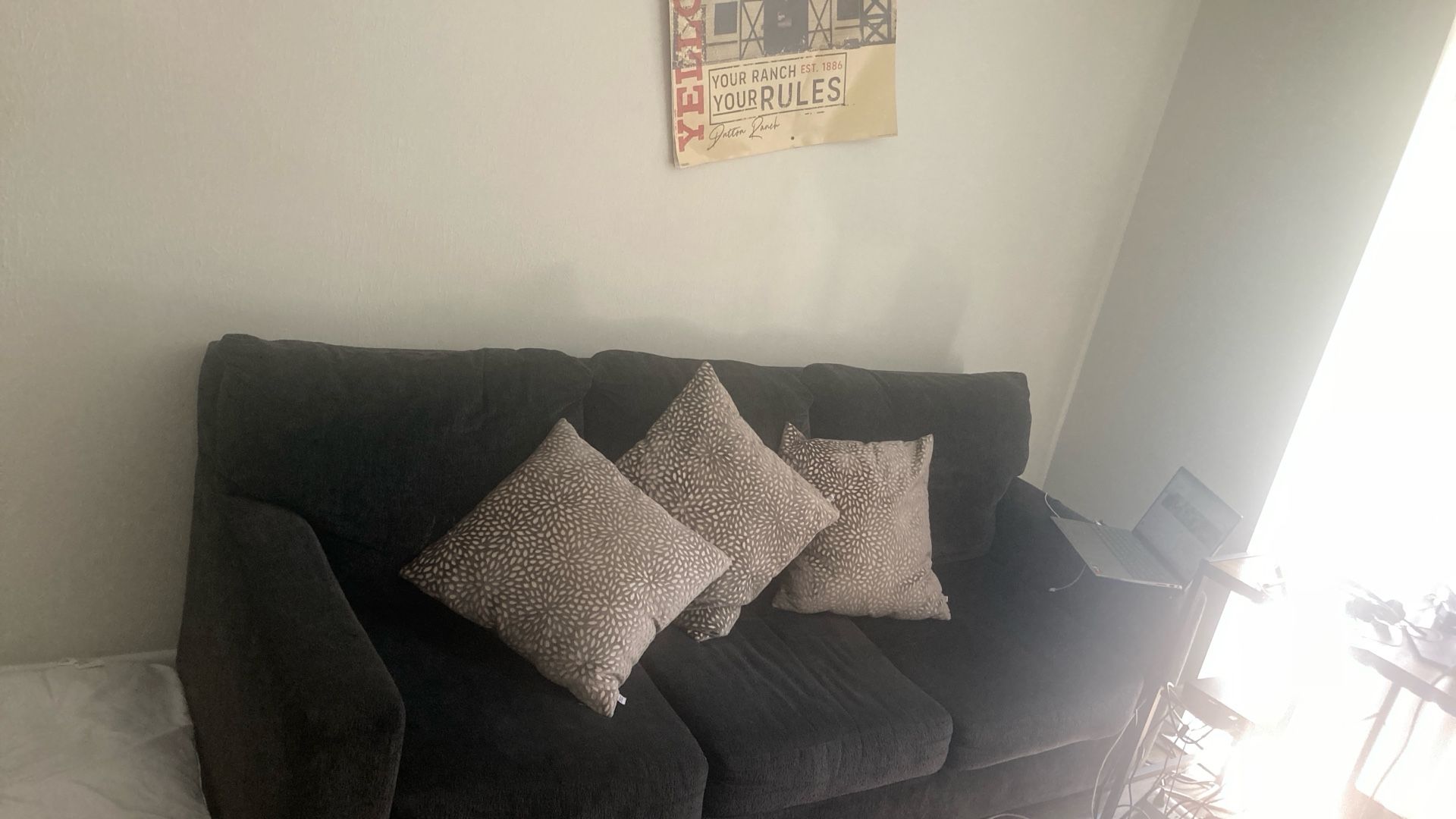 Dark Gray Comfy Couch