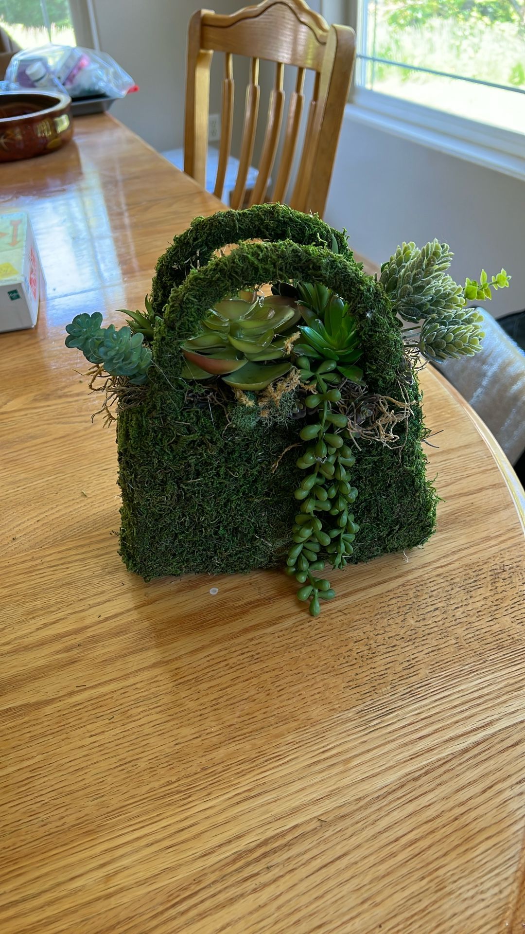 Faux Moss Bag With Succulents