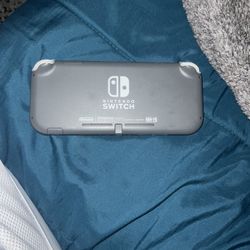 Nintendo Switch Light 
