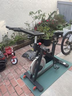 Sunny Stationary Bike