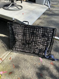 Medium Wire Dog Crate with Cushion