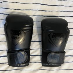 Venum Contender Boxing Gloves (14 Oz)