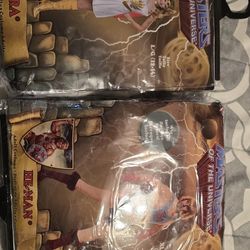 He-Man And She-Ra Couples Costumes