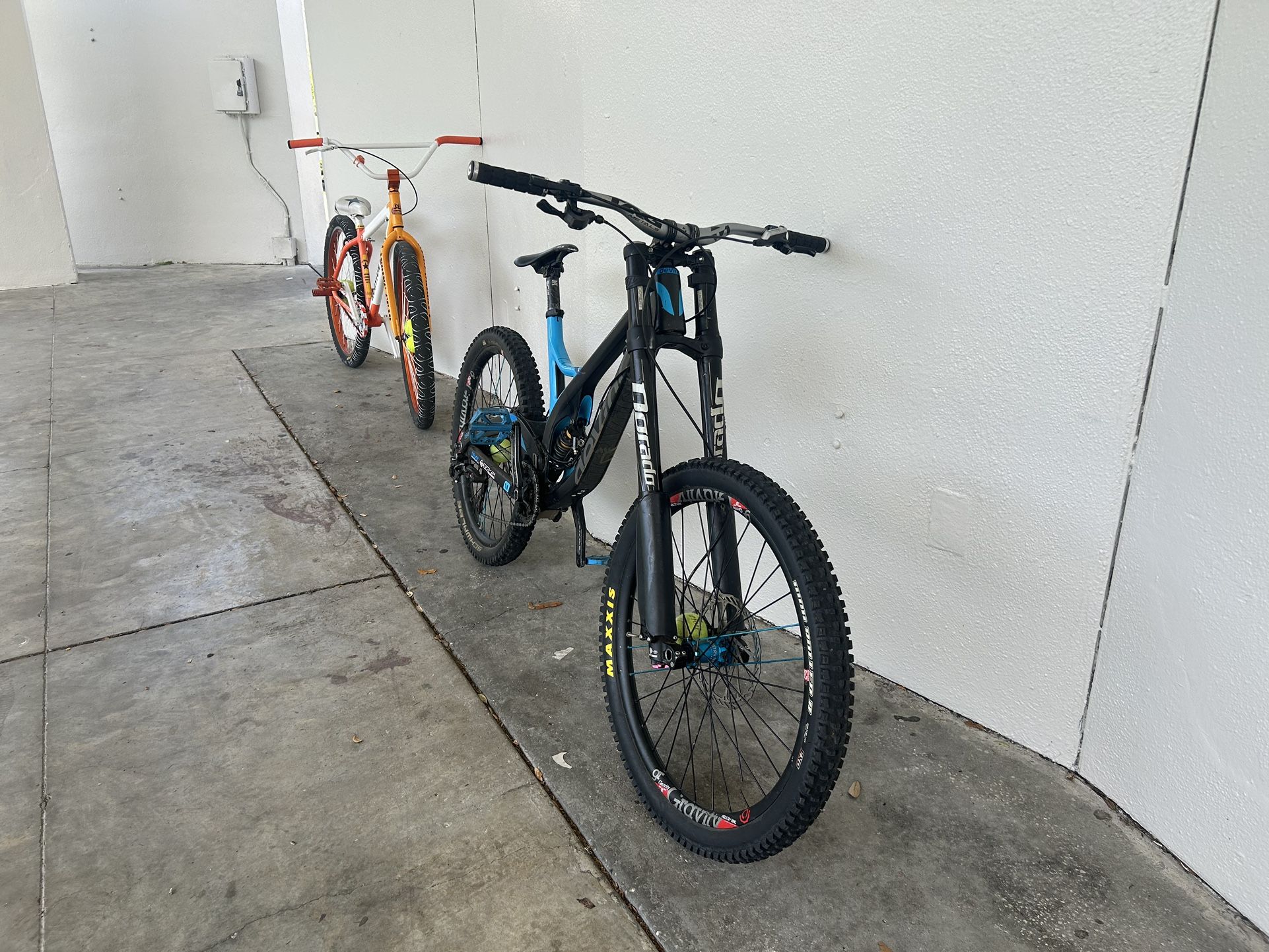 Devinci Wlsn
