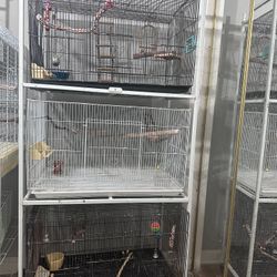 Urgent Aviary Downsize Sale