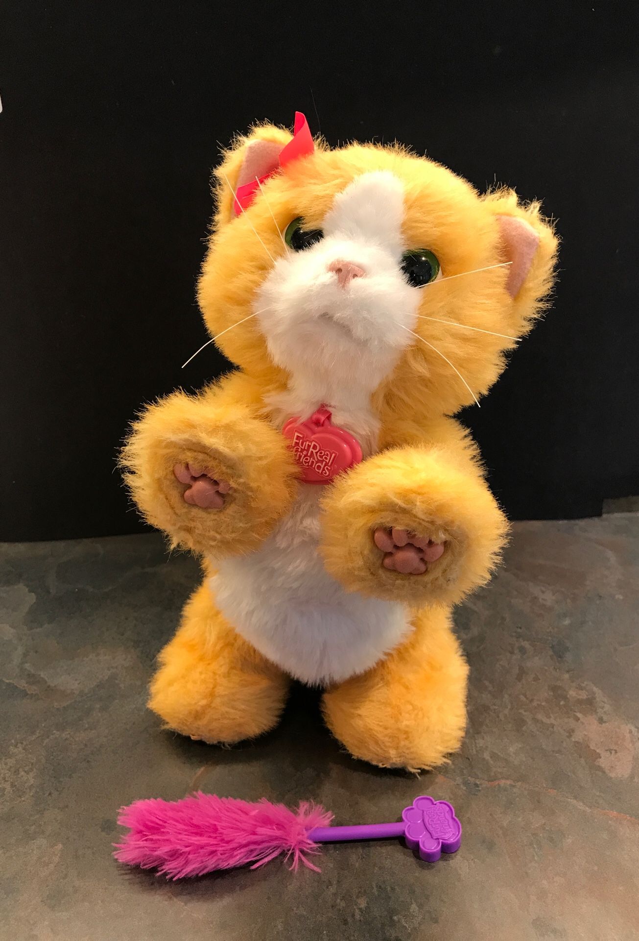 PRICE LOWERED! Furreal friends Daisy Cat robotic toy with feather wand