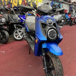 New Nitro 150cc Gas Scooter 