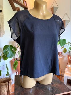 Black Sheer Sleeved Top