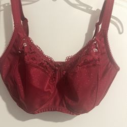 NWT Delimira Size 34F Burgundy Bra