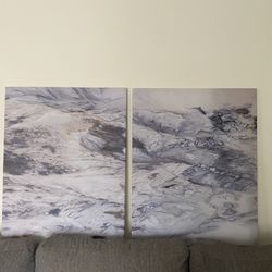 2 40x30 Canvas Wall Art
