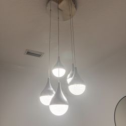 Chandelier/Light fixture