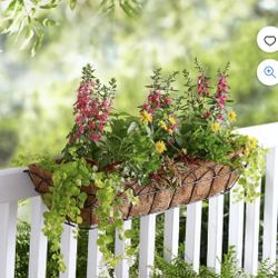 Hanging Decor For Plants 