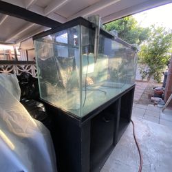 150 Gallon Glass Fresh Water Aquarium With Stand 