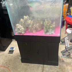 Fish Tank 
