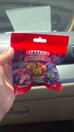 Mystery surprise dumplings