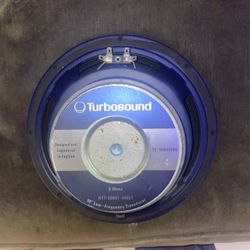 1 10 inch 8 ohm subwoofer 