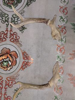 deer antlers pair