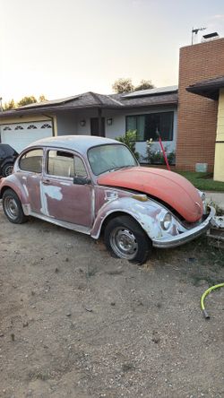 1972 beetle