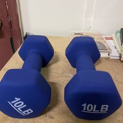 10 Lb Weight