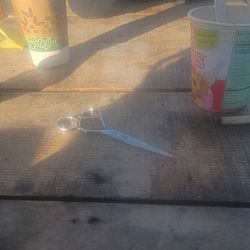 Professional hair scissors