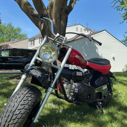 Baja Warrior 200 Mini Bike