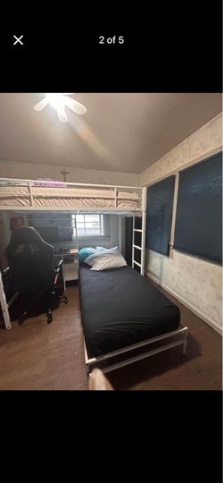 BUNK BED SPECIAL
