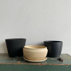 6 Inch Clay and Plastic Plant Pots