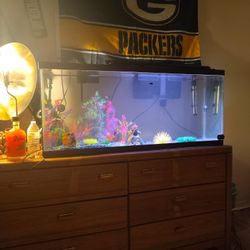 65 Gallon Fish Tank