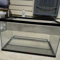 Bike, Painting, Fish Tank