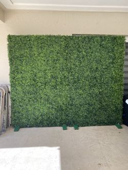 Grass wall 8x7