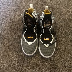 Size 12 Lebron Shoes 